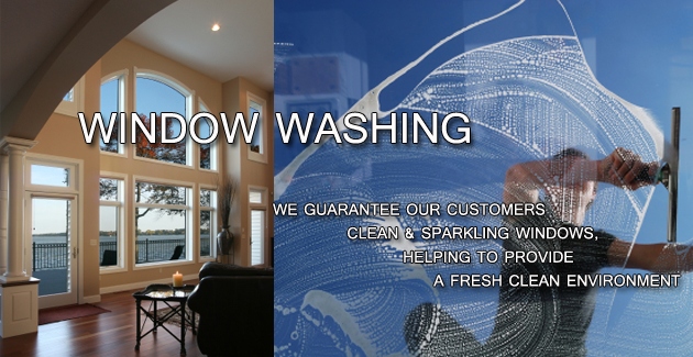 Window Washing